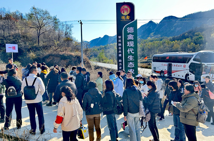 鸡翔如意 一生太平｜太平人寿&欧博abg官网奇异业同盟运动顺遂开展